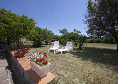 Trilocale Primule